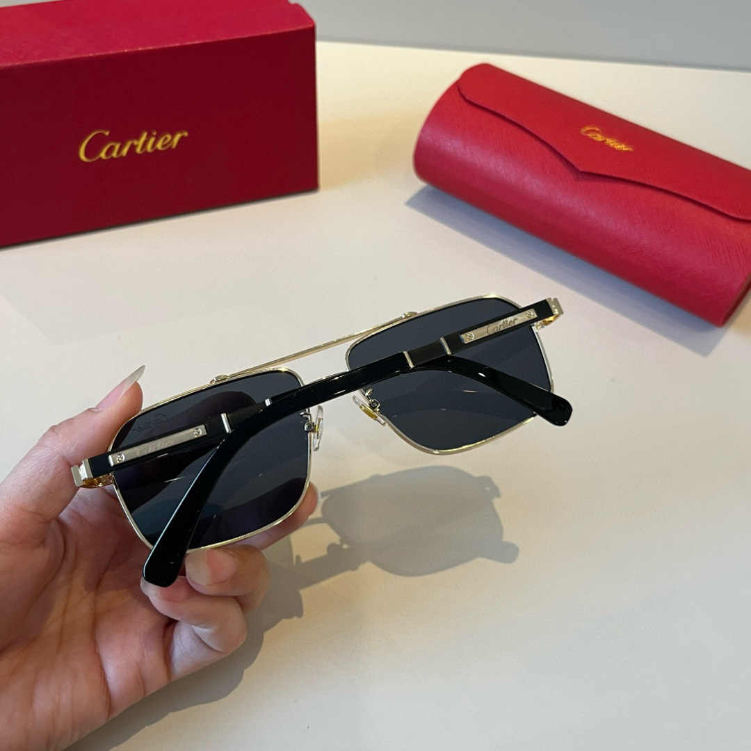 IT’S 280. CALTIE, CARTIER, PRECIOUS SUNGLASS METAL - 图片 8