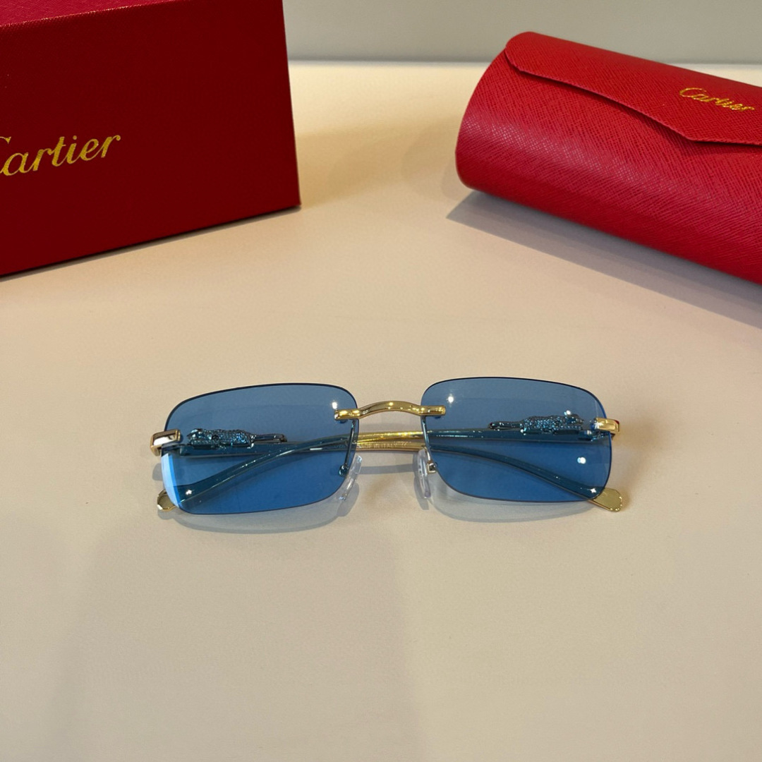 THREE HUNDRED AND SIXTY-THREE. CALTIE, CARTIER, PRECIOUS SUNGLASS METAL - 图片 7