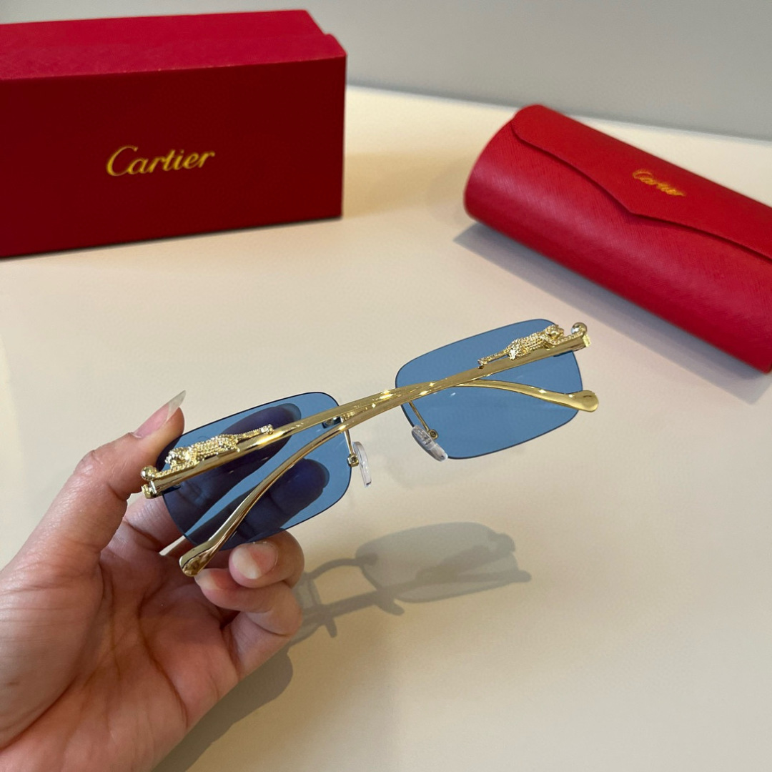 THREE HUNDRED AND SIXTY-THREE. CALTIE, CARTIER, PRECIOUS SUNGLASS METAL - 图片 4