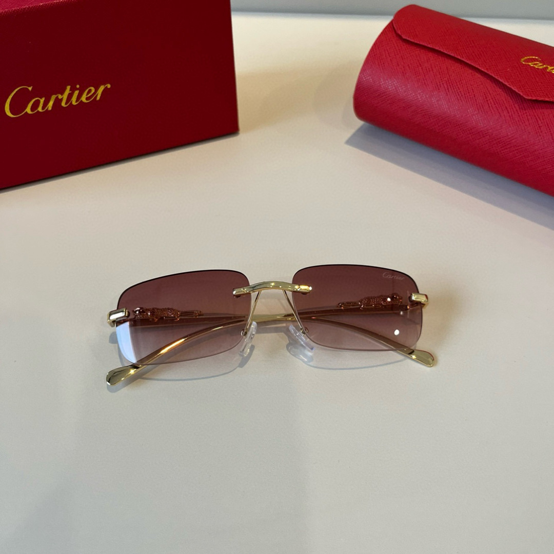 THREE HUNDRED AND SIXTY-THREE. CALTIE, CARTIER, PRECIOUS SUNGLASS METAL - 图片 6