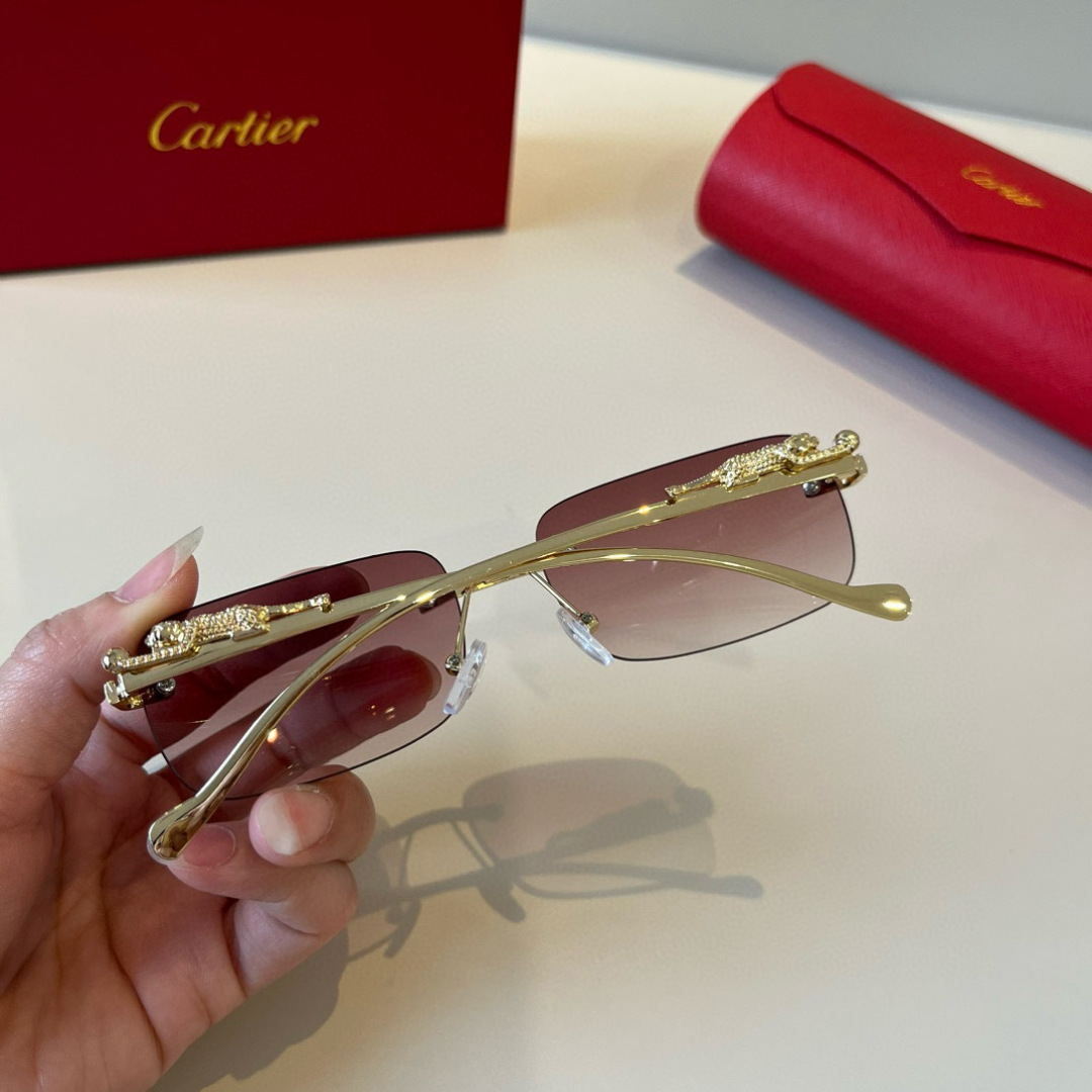 THREE HUNDRED AND SIXTY-THREE. CALTIE, CARTIER, PRECIOUS SUNGLASS METAL - 图片 4