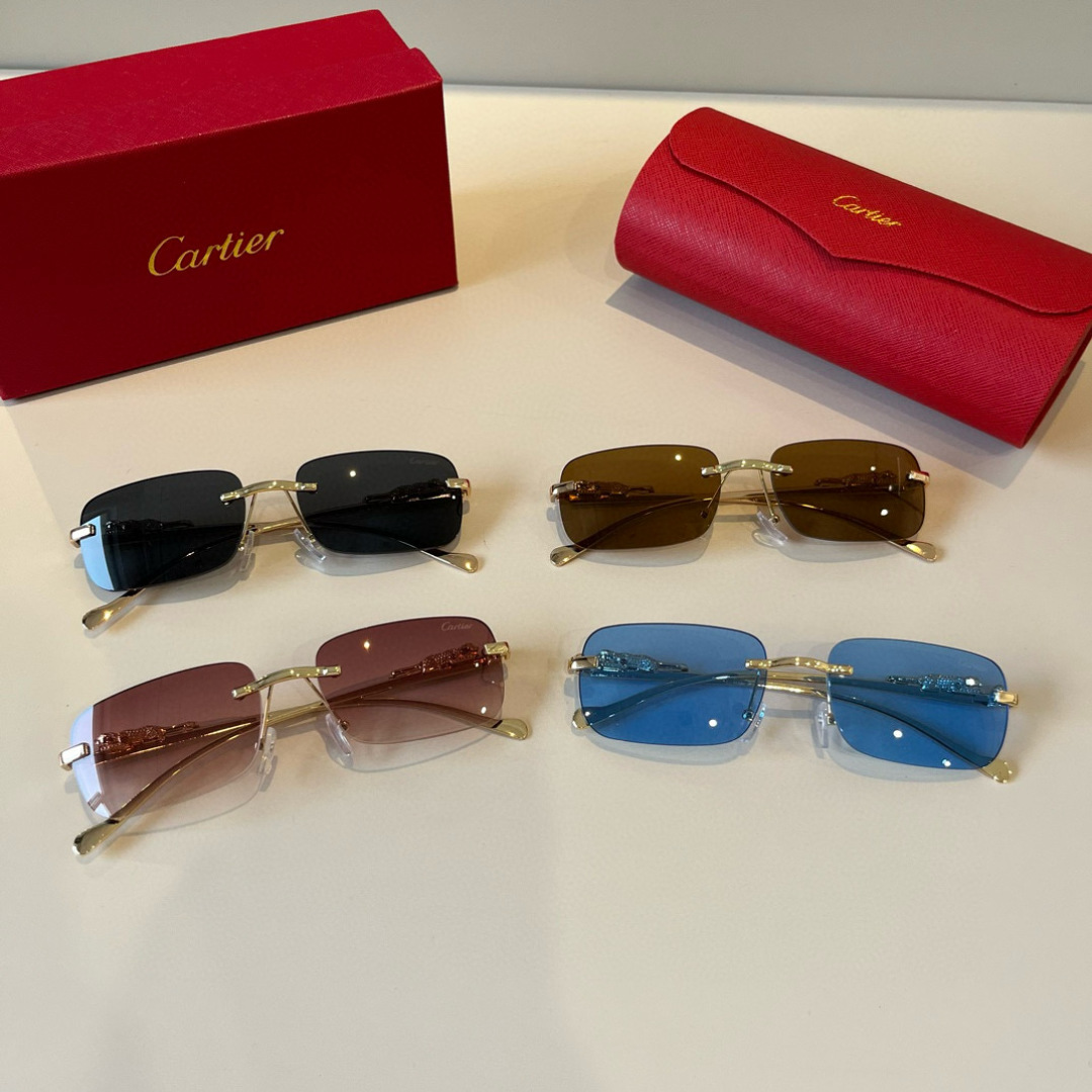 THREE HUNDRED AND SIXTY-THREE. CALTIE, CARTIER, PRECIOUS SUNGLASS METAL - 图片 9
