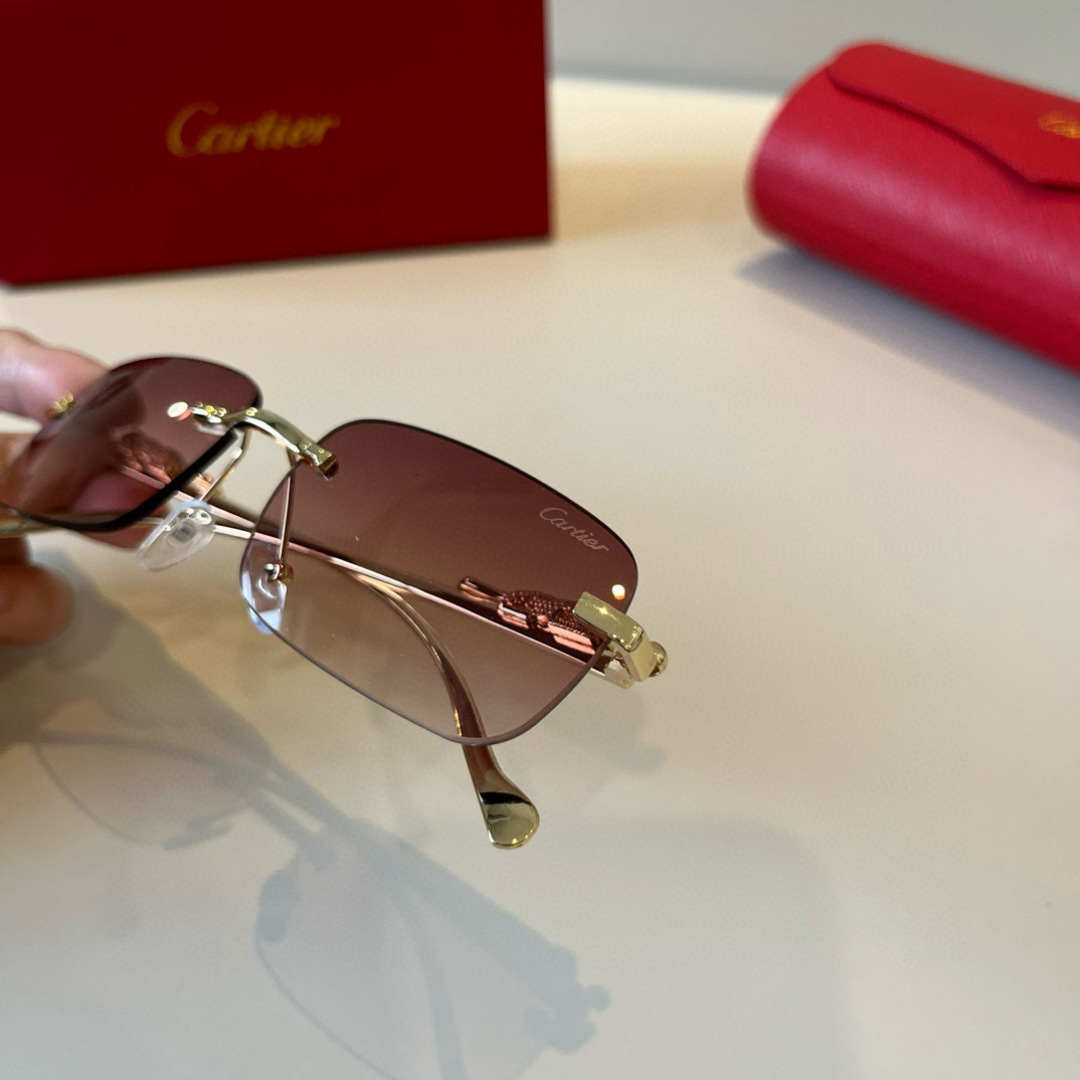THREE HUNDRED AND SIXTY-THREE. CALTIE, CARTIER, PRECIOUS SUNGLASS METAL - 图片 5