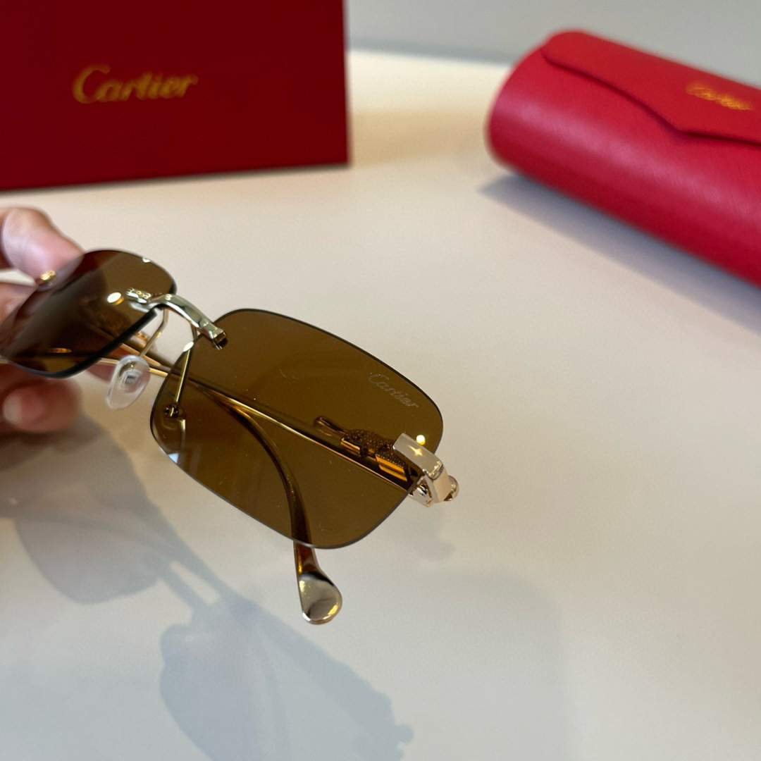 THREE HUNDRED AND SIXTY-THREE. CALTIE, CARTIER, PRECIOUS SUNGLASS METAL - 图片 6