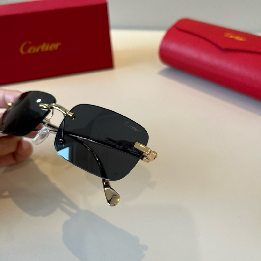 THREE HUNDRED AND SIXTY-THREE. CALTIE, CARTIER, PRECIOUS SUNGLASS METAL - 图片 7