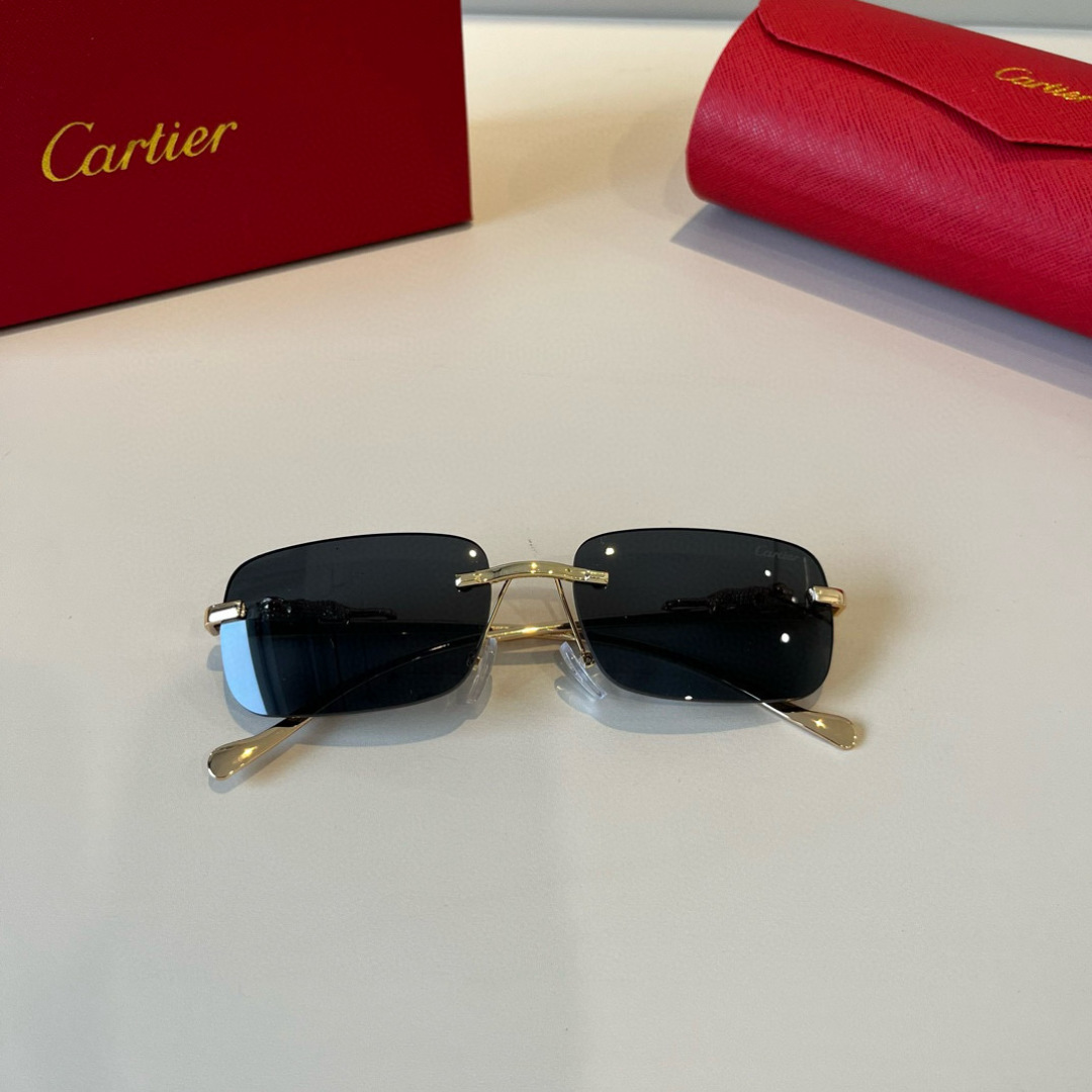THREE HUNDRED AND SIXTY-THREE. CALTIE, CARTIER, PRECIOUS SUNGLASS METAL - 图片 8