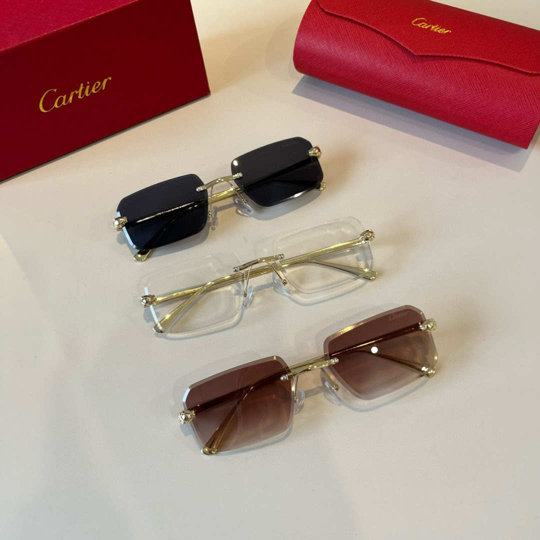 THREE HUNDRED AND SIXTY-THREE. CALTIE, CARTIER, PRECIOUS SUNGLASS METAL - 图片 9