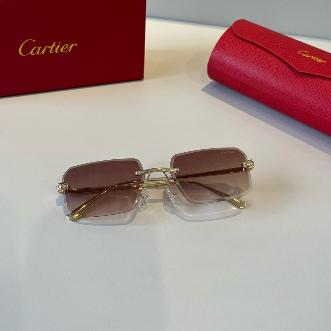 THREE HUNDRED AND SIXTY-THREE. CALTIE, CARTIER, PRECIOUS SUNGLASS METAL - 图片 8