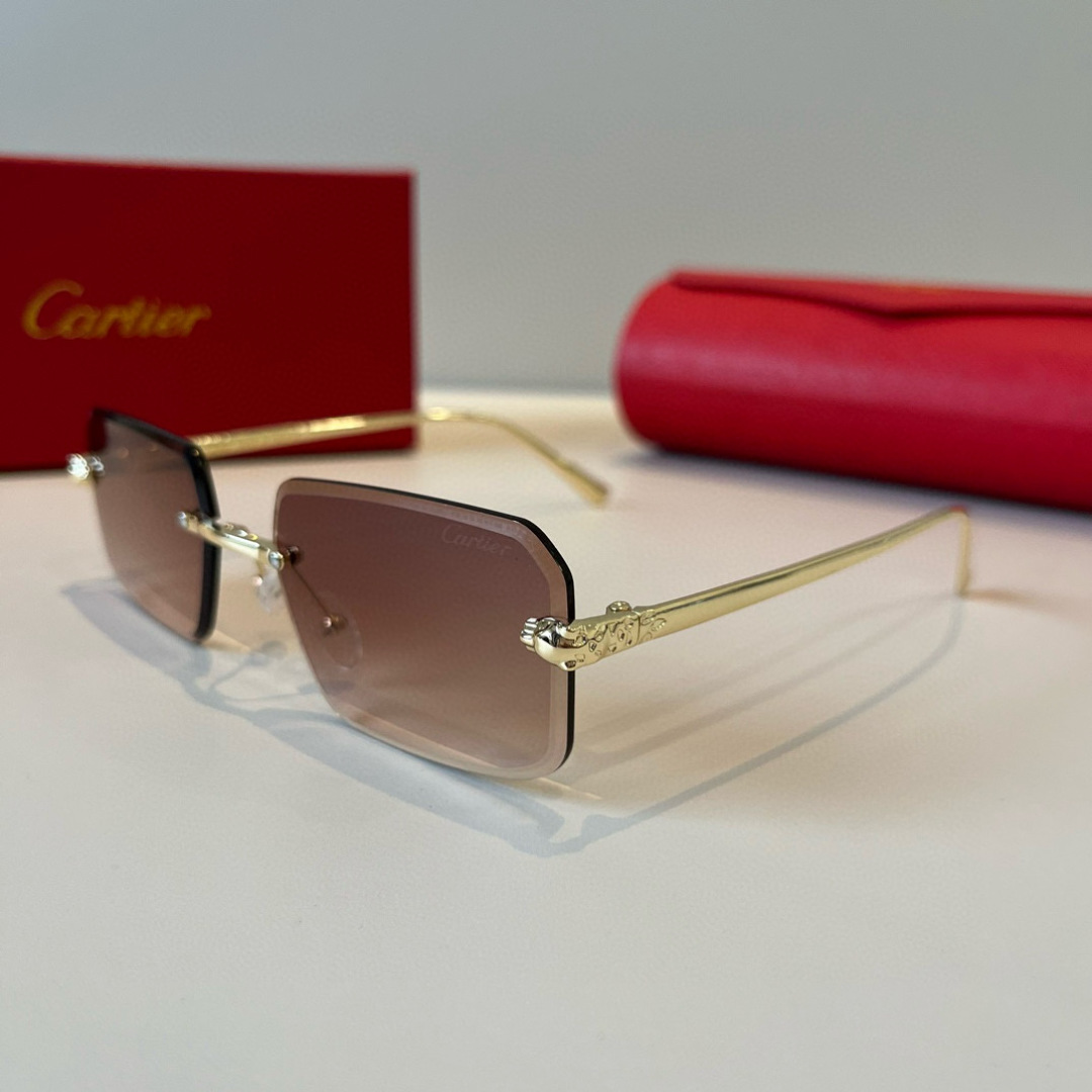 THREE HUNDRED AND SIXTY-THREE. CALTIE, CARTIER, PRECIOUS SUNGLASS METAL - 图片 3