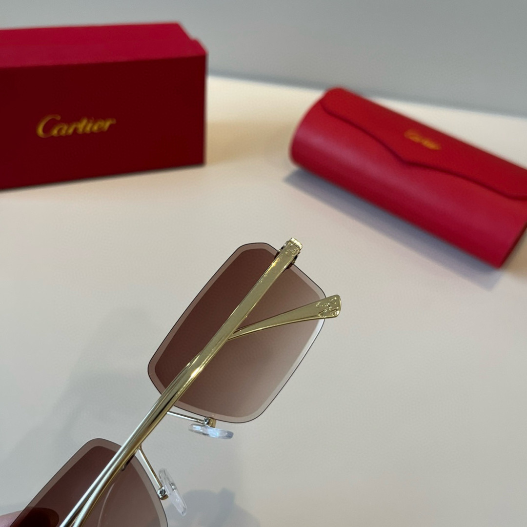 THREE HUNDRED AND SIXTY-THREE. CALTIE, CARTIER, PRECIOUS SUNGLASS METAL - 图片 6