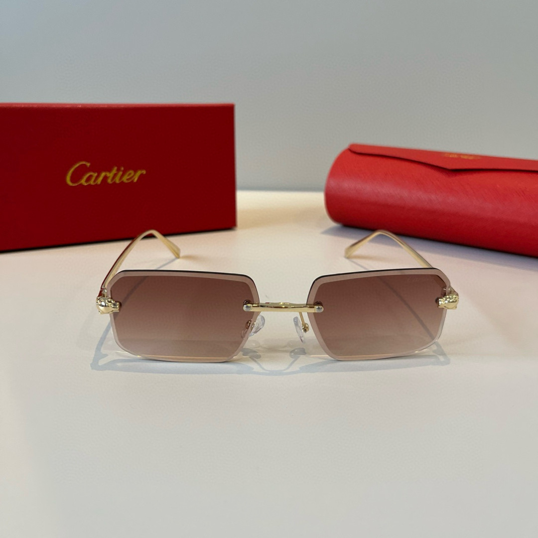 THREE HUNDRED AND SIXTY-THREE. CALTIE, CARTIER, PRECIOUS SUNGLASS METAL - 图片 2