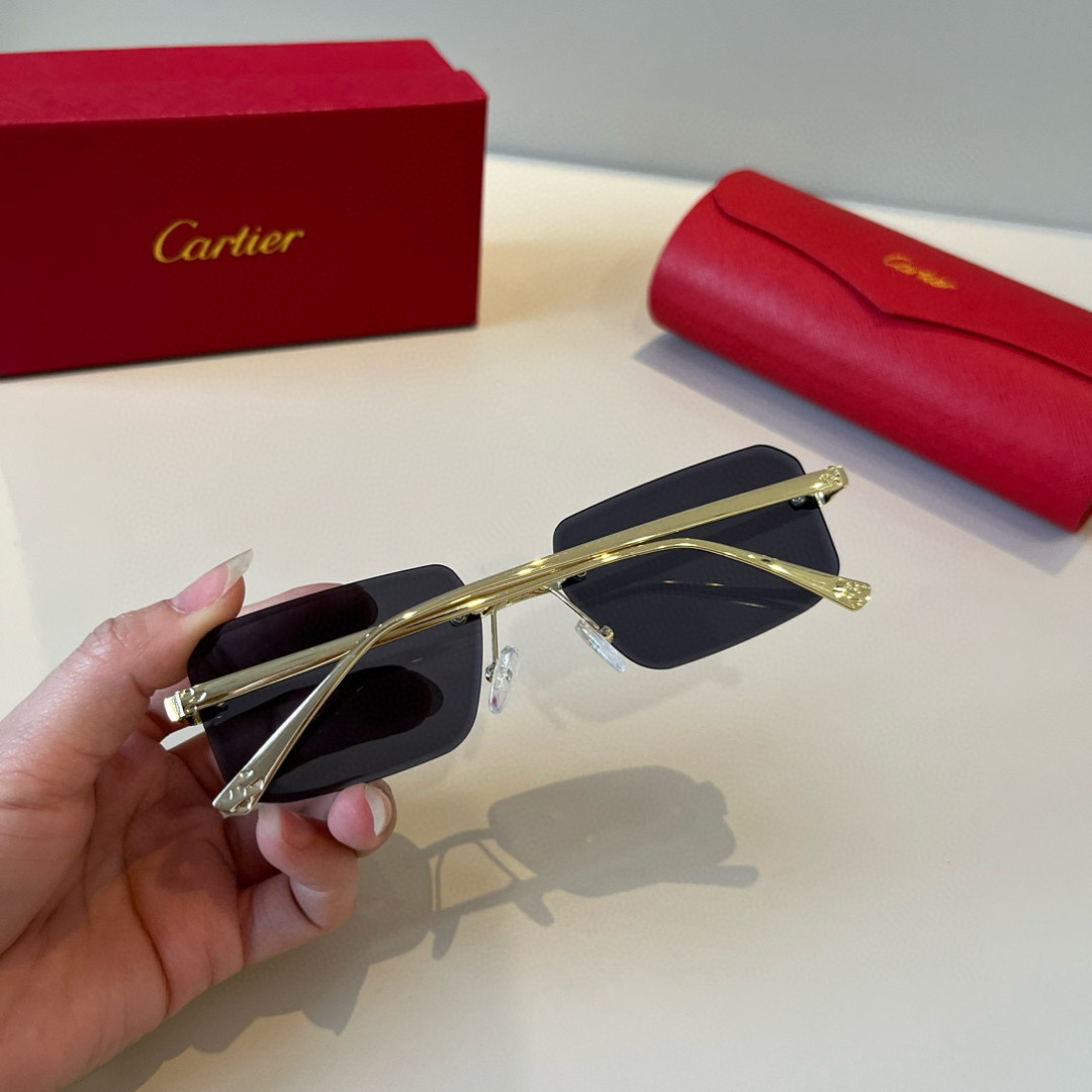 THREE HUNDRED AND SIXTY-THREE. CALTIE, CARTIER, PRECIOUS SUNGLASS METAL - 图片 5