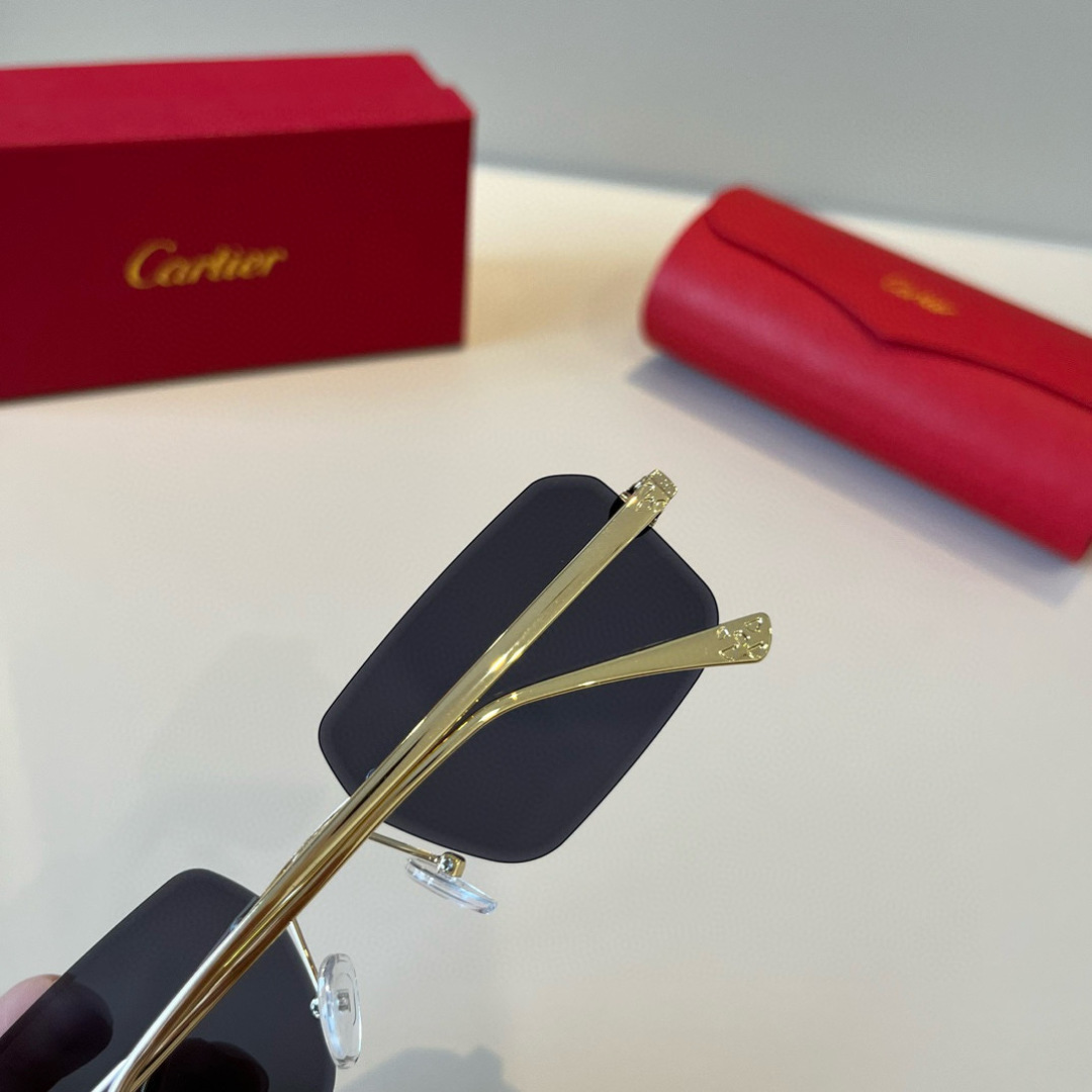 THREE HUNDRED AND SIXTY-THREE. CALTIE, CARTIER, PRECIOUS SUNGLASS METAL - 图片 6