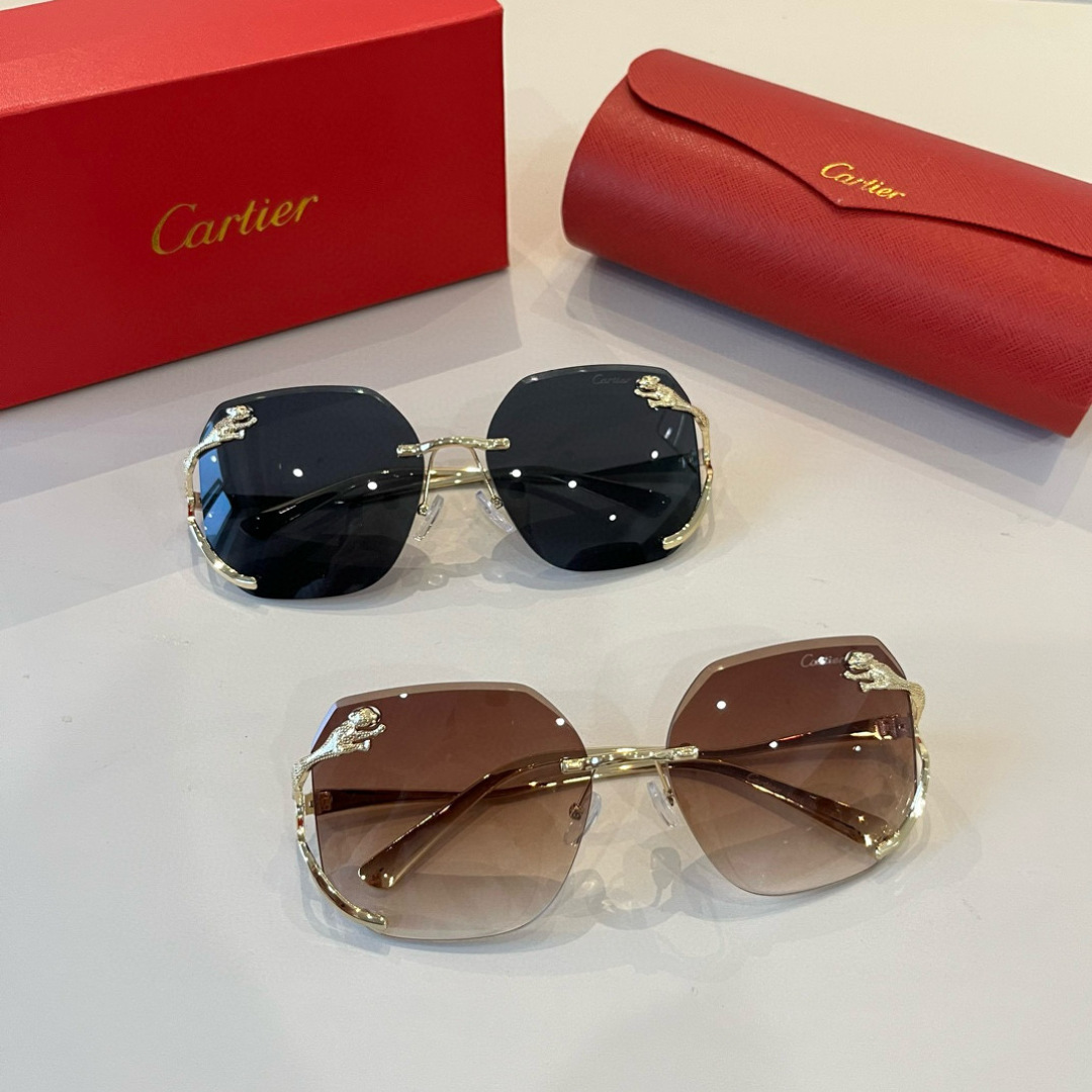 THREE HUNDRED AND SIXTY-THREE. CALTIE, CARTIER, PRECIOUS SUNGLASS METAL - 图片 8