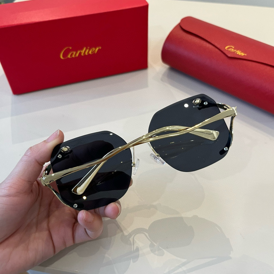 THREE HUNDRED AND SIXTY-THREE. CALTIE, CARTIER, PRECIOUS SUNGLASS METAL - 图片 4