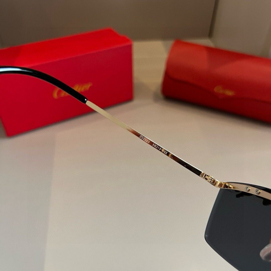 THREE HUNDRED AND SIXTY-THREE. CALTIE, CARTIER, PRECIOUS SUNGLASS METAL - 图片 7