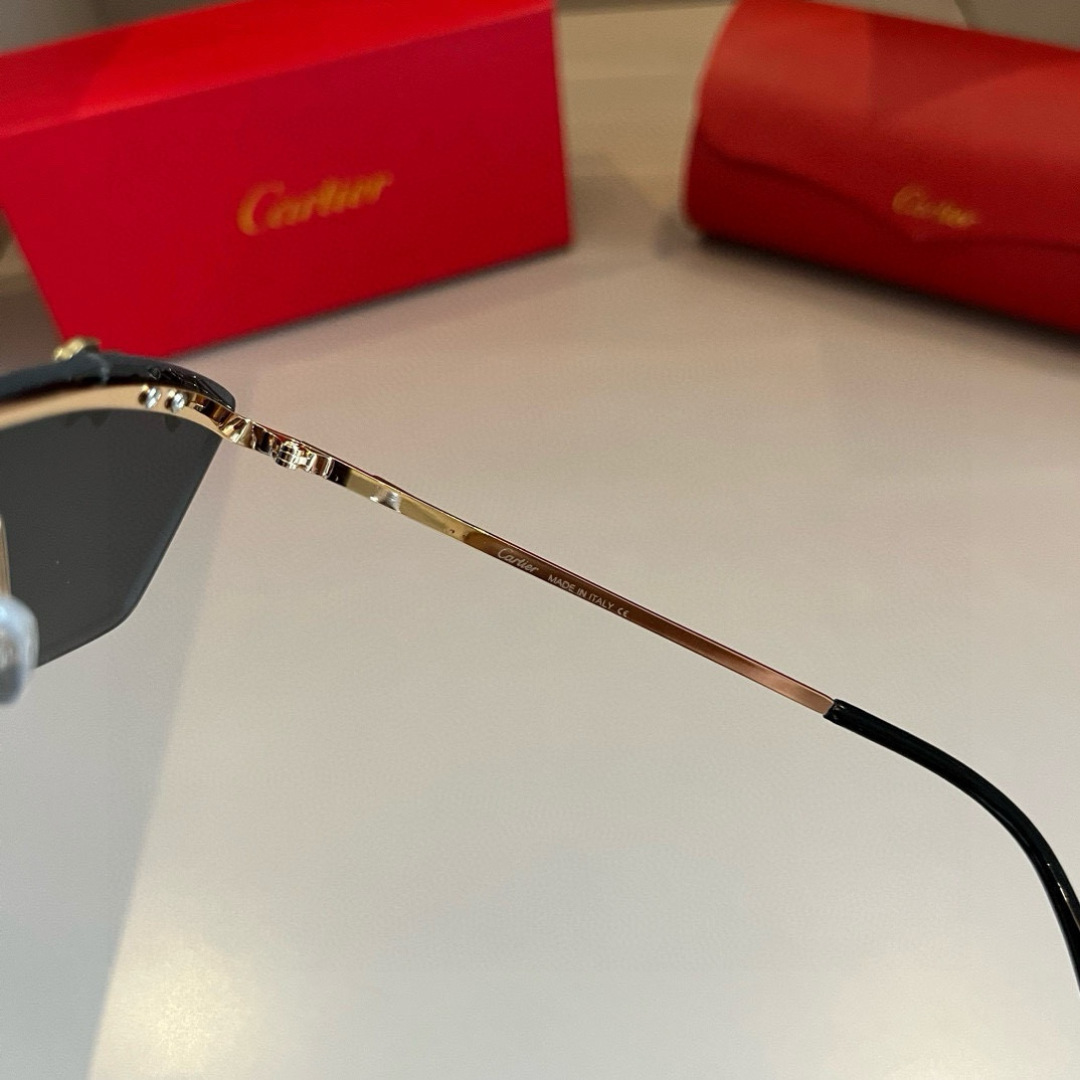 THREE HUNDRED AND SIXTY-THREE. CALTIE, CARTIER, PRECIOUS SUNGLASS METAL - 图片 8