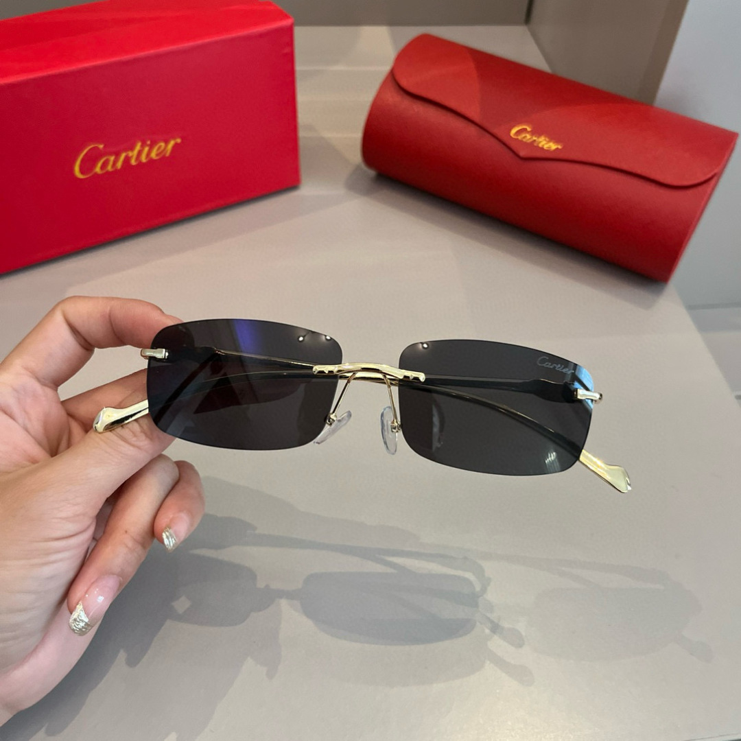 THREE HUNDRED AND SIXTY-THREE. CALTIE, CARTIER, PRECIOUS SUNGLASS METAL - 图片 5