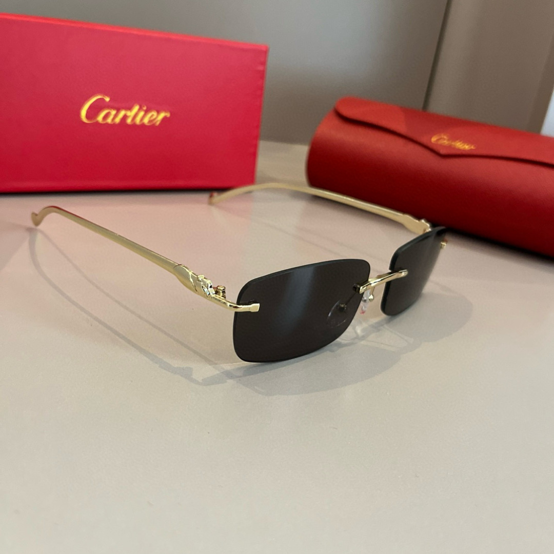 THREE HUNDRED AND SIXTY-THREE. CALTIE, CARTIER, PRECIOUS SUNGLASS METAL