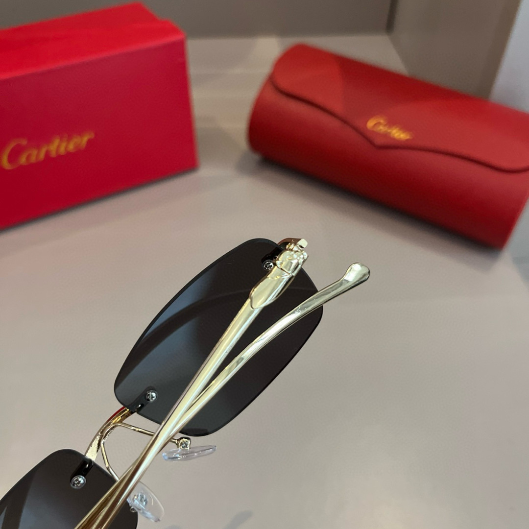 THREE HUNDRED AND SIXTY-THREE. CALTIE, CARTIER, PRECIOUS SUNGLASS METAL - 图片 8