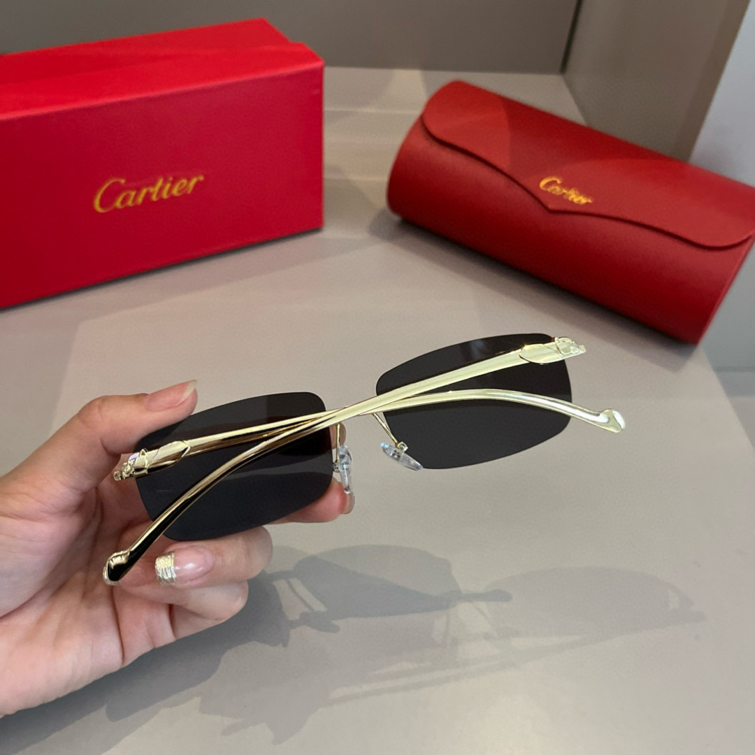 THREE HUNDRED AND SIXTY-THREE. CALTIE, CARTIER, PRECIOUS SUNGLASS METAL - 图片 7