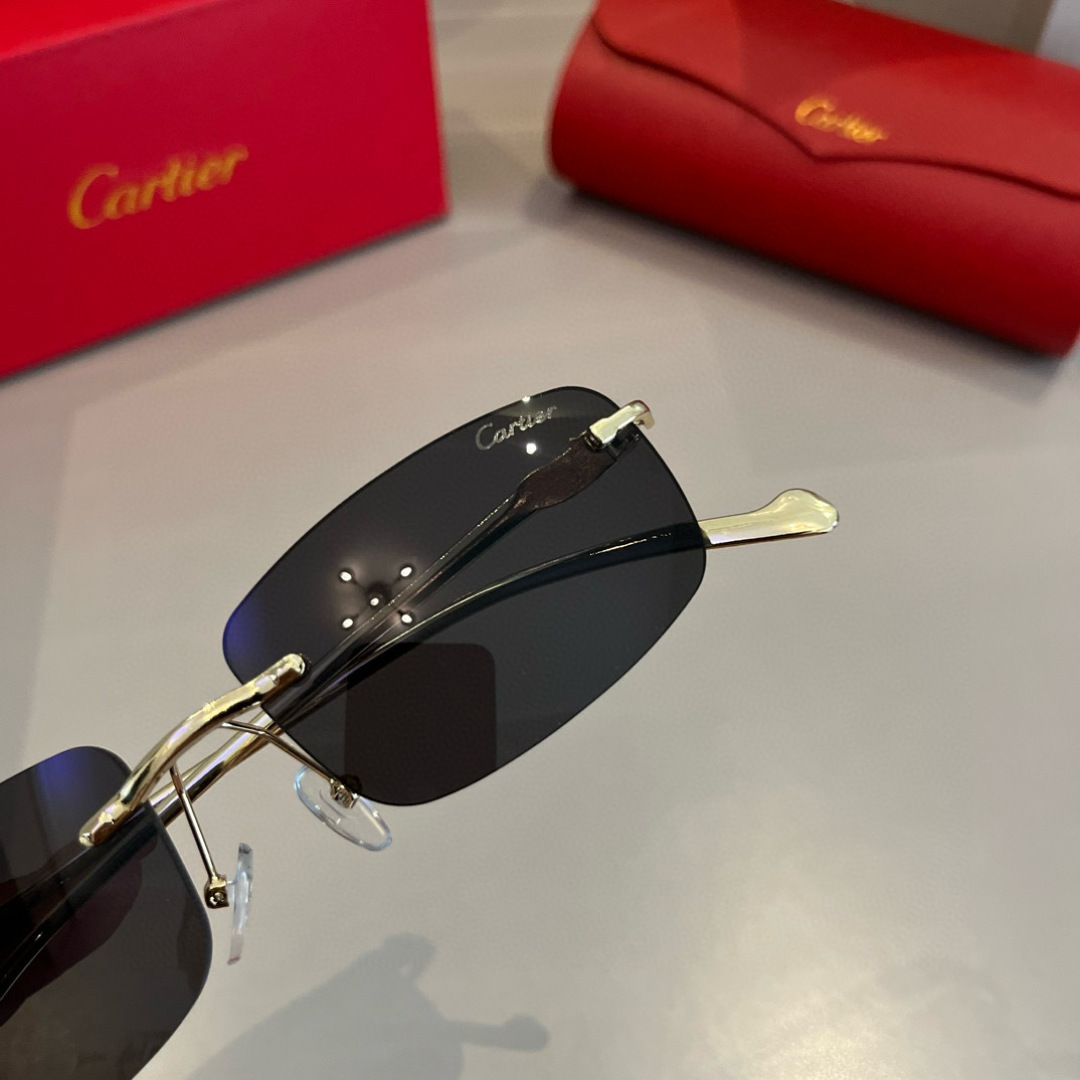 THREE HUNDRED AND SIXTY-THREE. CALTIE, CARTIER, PRECIOUS SUNGLASS METAL - 图片 6