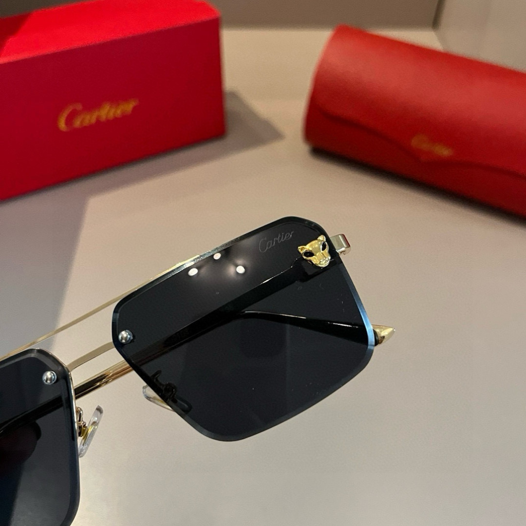 Cartier-zonnebril ¥ — photo 6