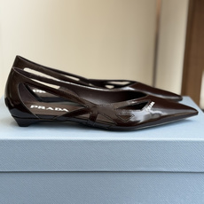 代购级Prada 26ss 早春新款绝美尖头跟鞋 时尚界久违的极简之美经典时尚配色 毫不费力的优雅风来袭 代购级Prada 26ss 早春新款绝美尖头跟鞋 时尚界久违的极简之美经典时尚配色 毫不费力的优雅风来袭