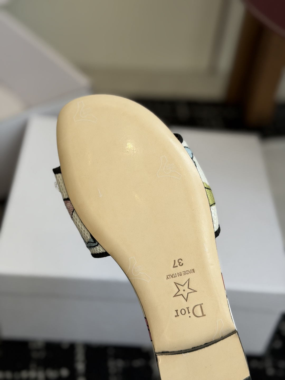 代购级 平底 迪奥 Dior 2026春夏新款一字拖拼色女鞋 CD字母logo立体刺绣 方头粗跟果冻色露