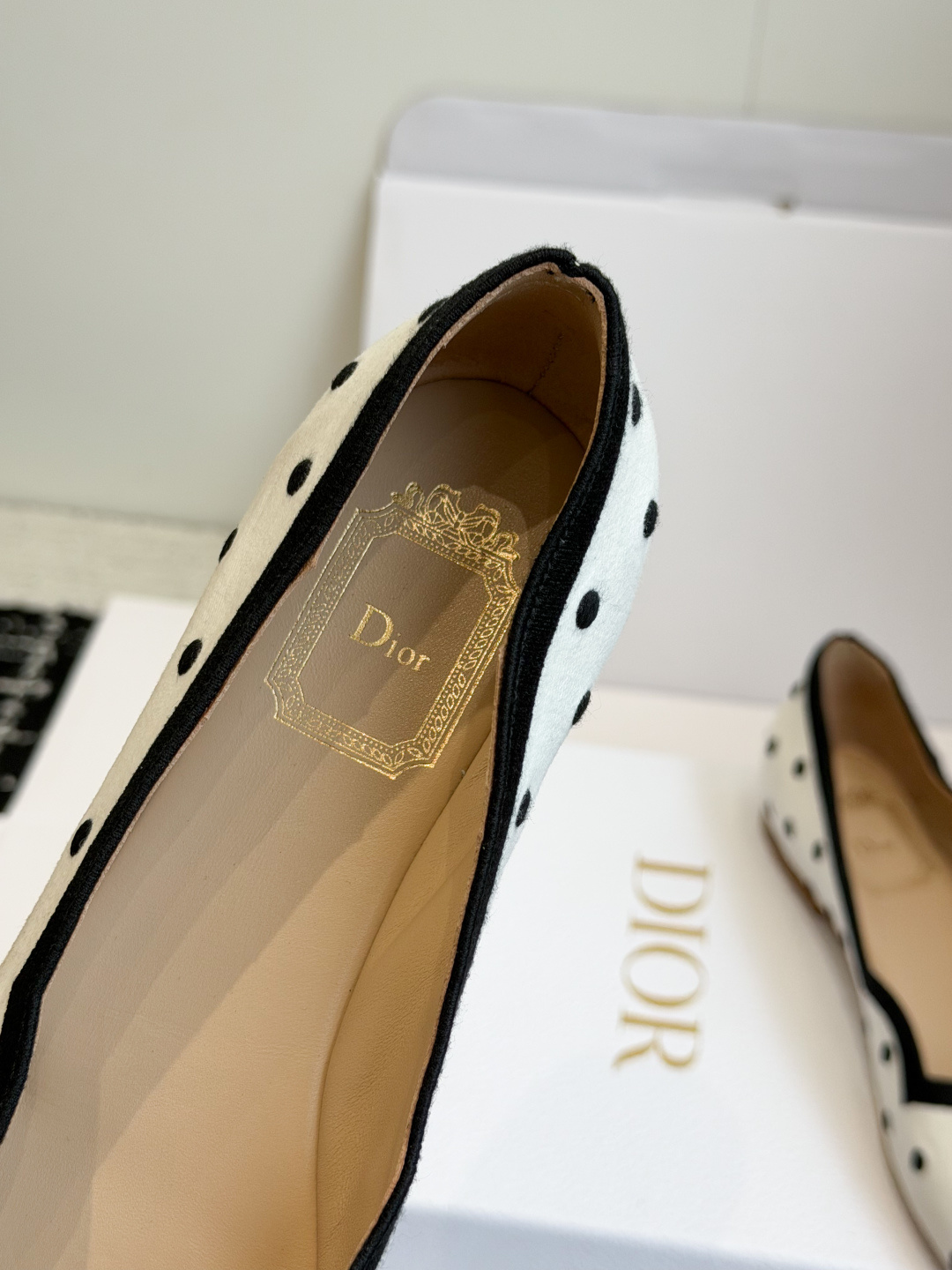 代购级 Dior 迪奥2026新款高跟鞋一眼就想要,今年大热波点!单鞋简单大方‘低调奢华! 配上醒目的 Dior标志刺绣 代购级 Dior 迪奥2026新款高跟鞋一眼就想要,今年大热波点!单鞋简单大方‘低调奢华! 配上醒目的 Dior标志刺绣