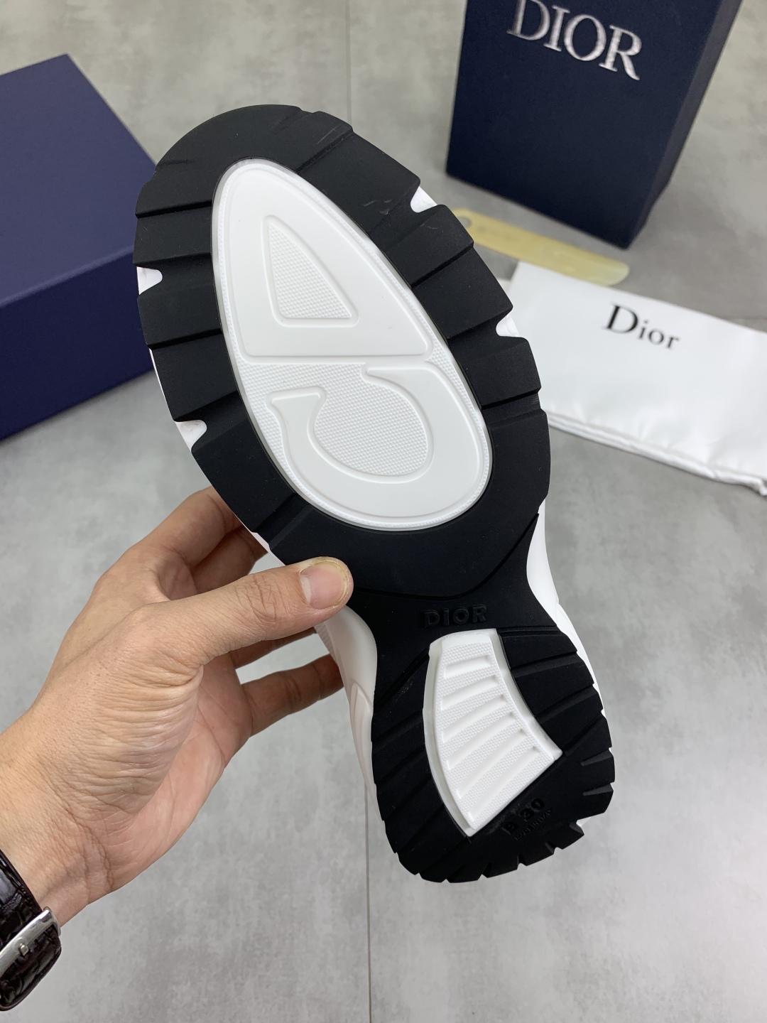 Dior Snake Year Limited Edition Sneakers - Classic Style, New Spark 10 cmp i1744557605694 2398 0 8