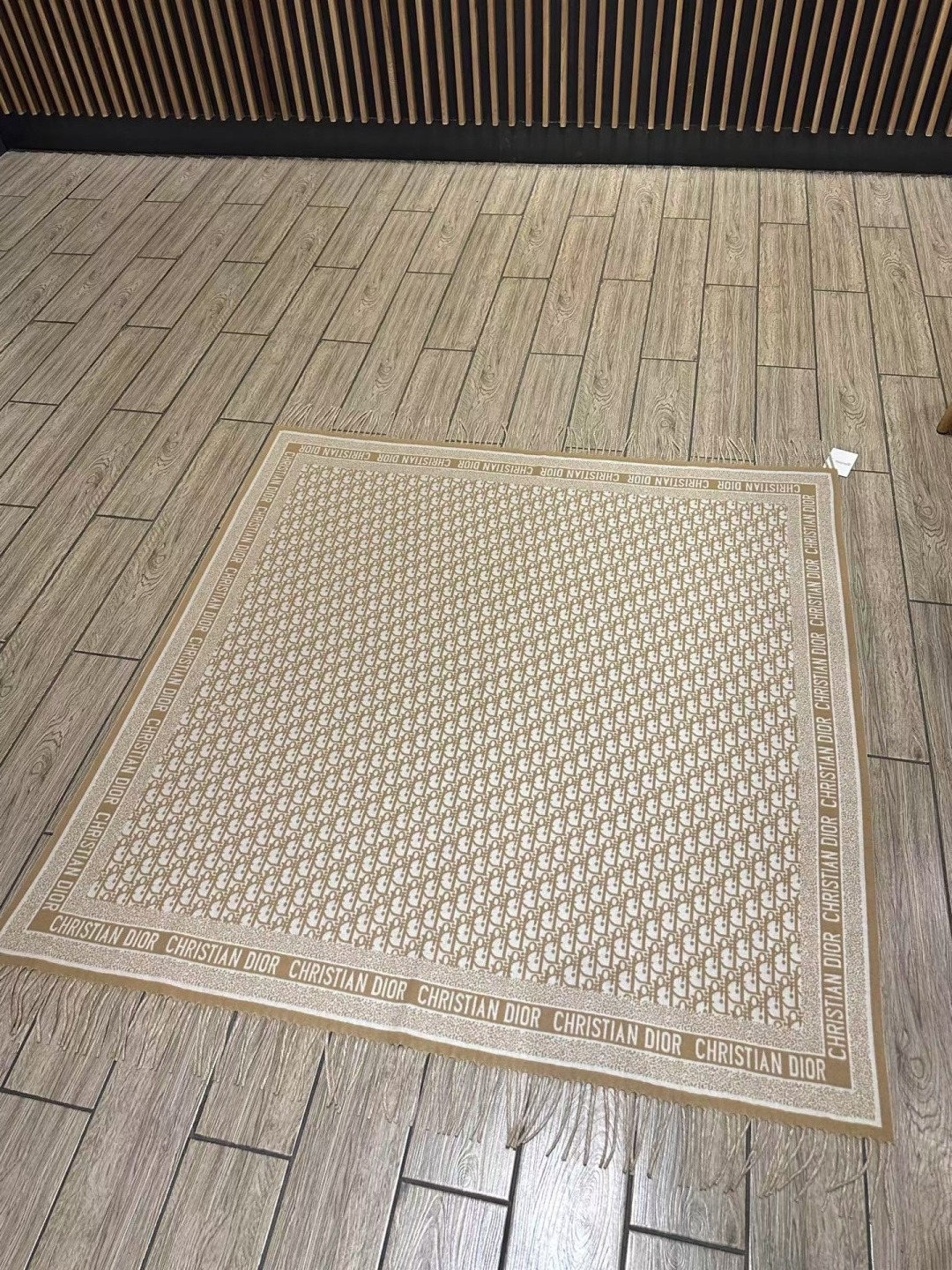 🆕高版本 · 经典的 Oblique 印花于 1969 年推出，装饰 Dior 各式单品，比如这款采用山