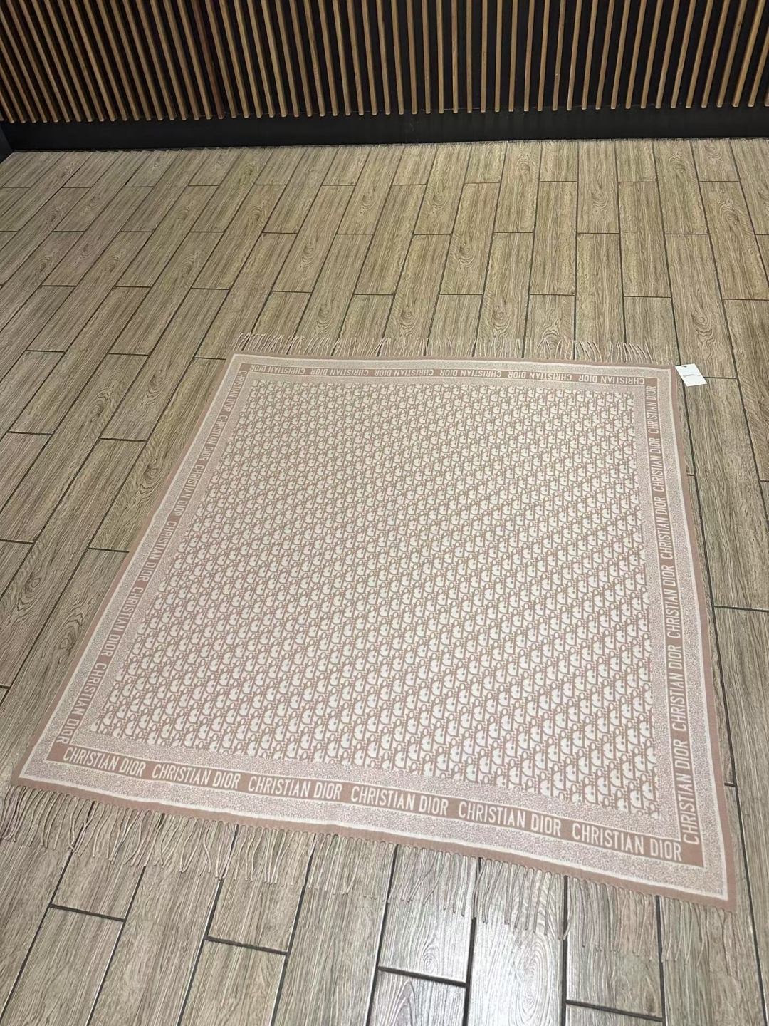 🆕高版本 · 经典的 Oblique 印花于 1969 年推出，装饰 Dior 各式单品，比如这款采用山