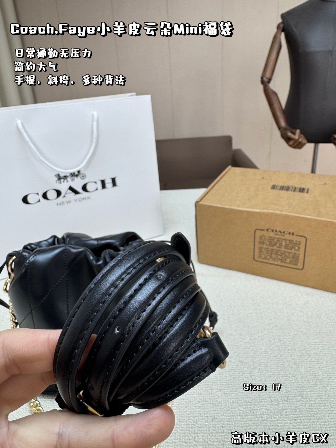 COACH bag , comes with box, high version lambskin cloud bag — photo 3