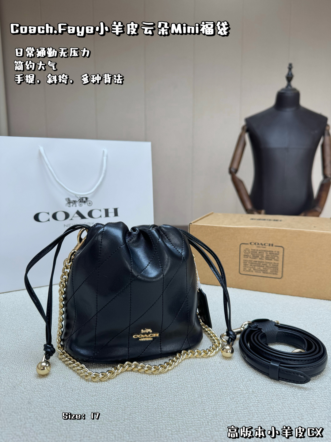 COACH bag , comes with box, high version lambskin cloud bag — photo 9
