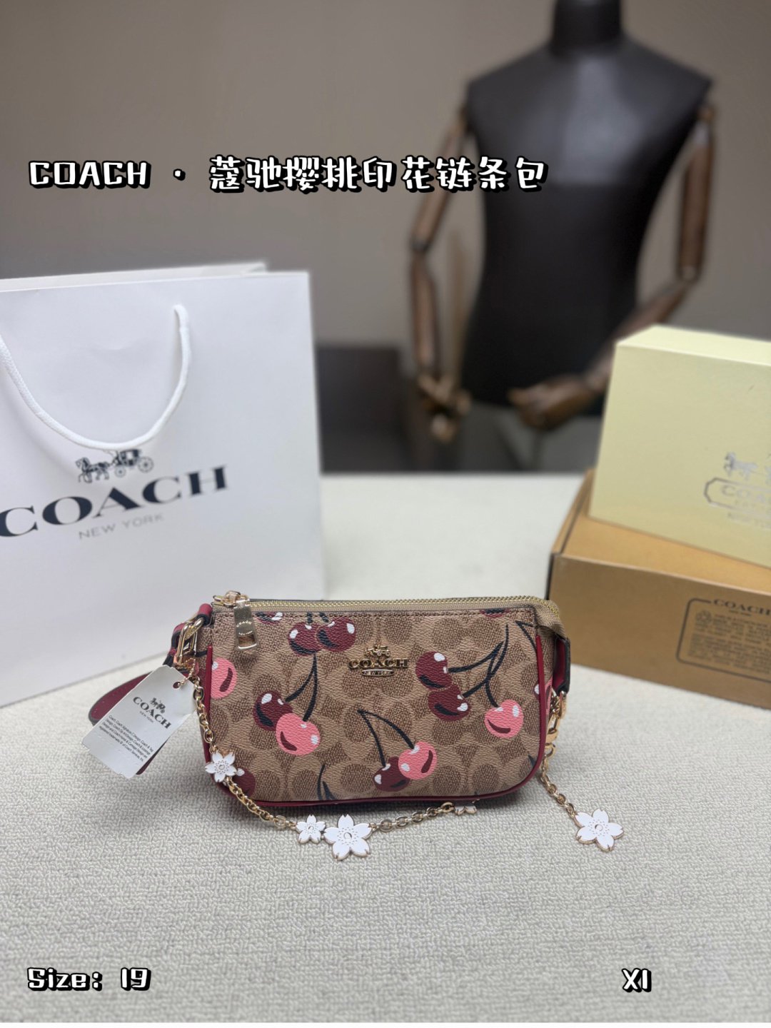 P173 Folding Box | Coach Cherry Print Chain Bag, Classic Coated Canvas + Cherry Pattern, With Metal Chain And White Flowers, Playful And Sophisticated. It Can Hold Daily Small Items Such As Mobile Phones, Wallets, Keys, Etc., And Is Suitable For Commuting Or Dating. The Shoulder Strap Is Adjustable And Can Be Carried By Hand Or Cross-body, Practical And Fashionable The Cherry Element Is Super Festive, Perfect For Valentine’s Day Or Early Spring, And A Must-have For Young Girls | Size 19 12