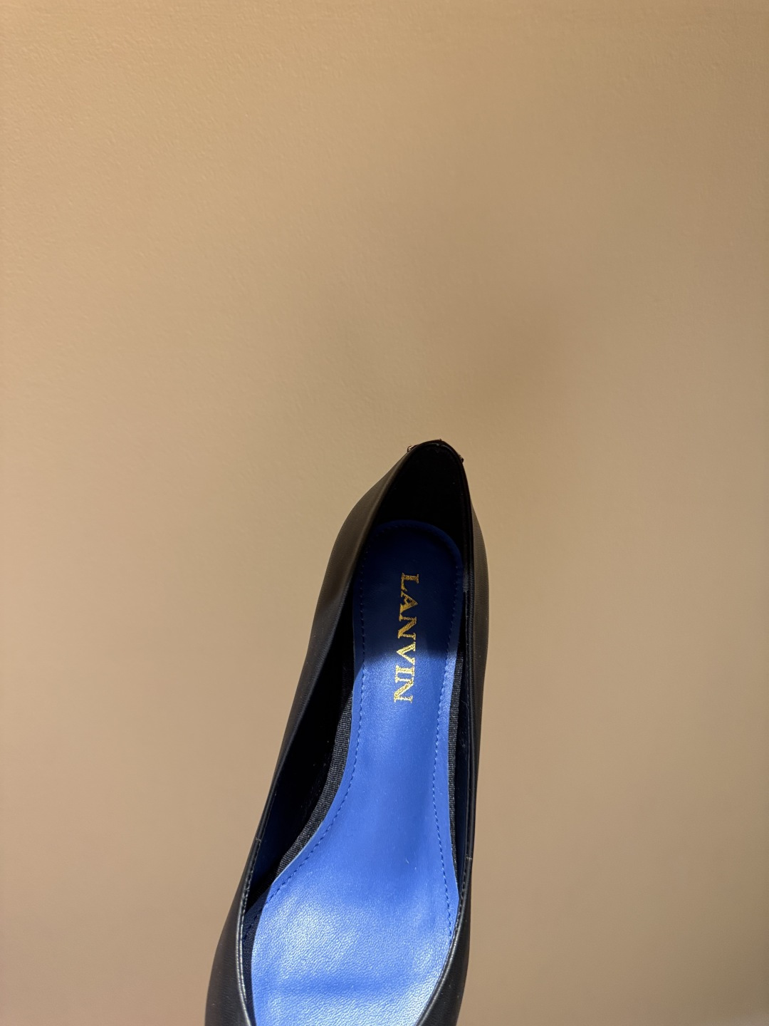 Lanvin Black Pointed-Toe Shoes