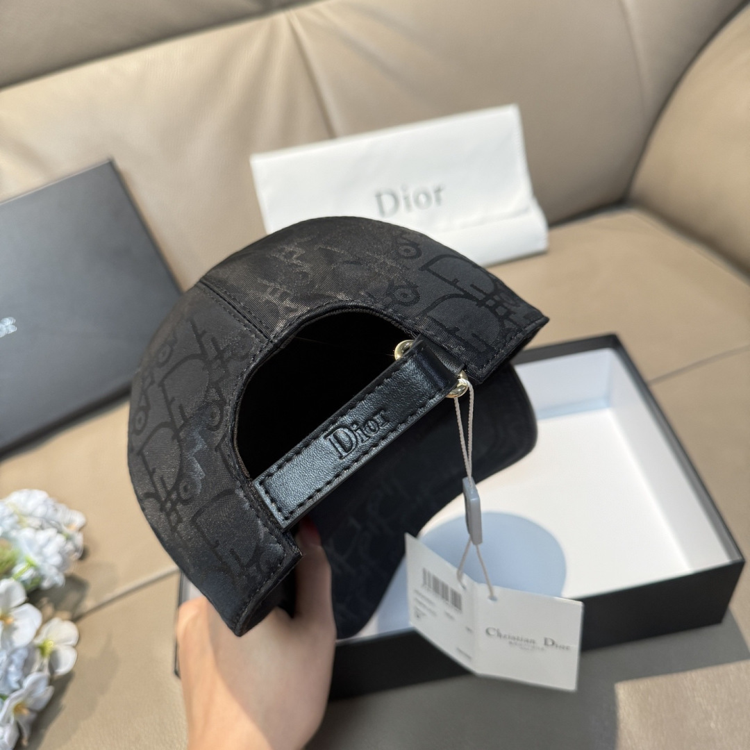 China Replica Dior Hats DRCP0403-1637