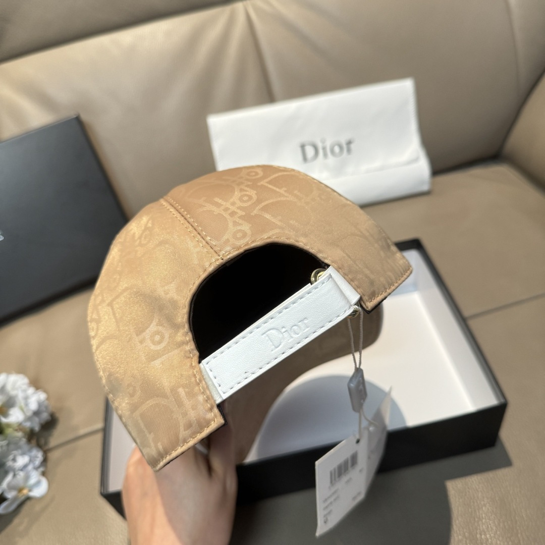 China Replica Dior Hats DRCP0403-2531