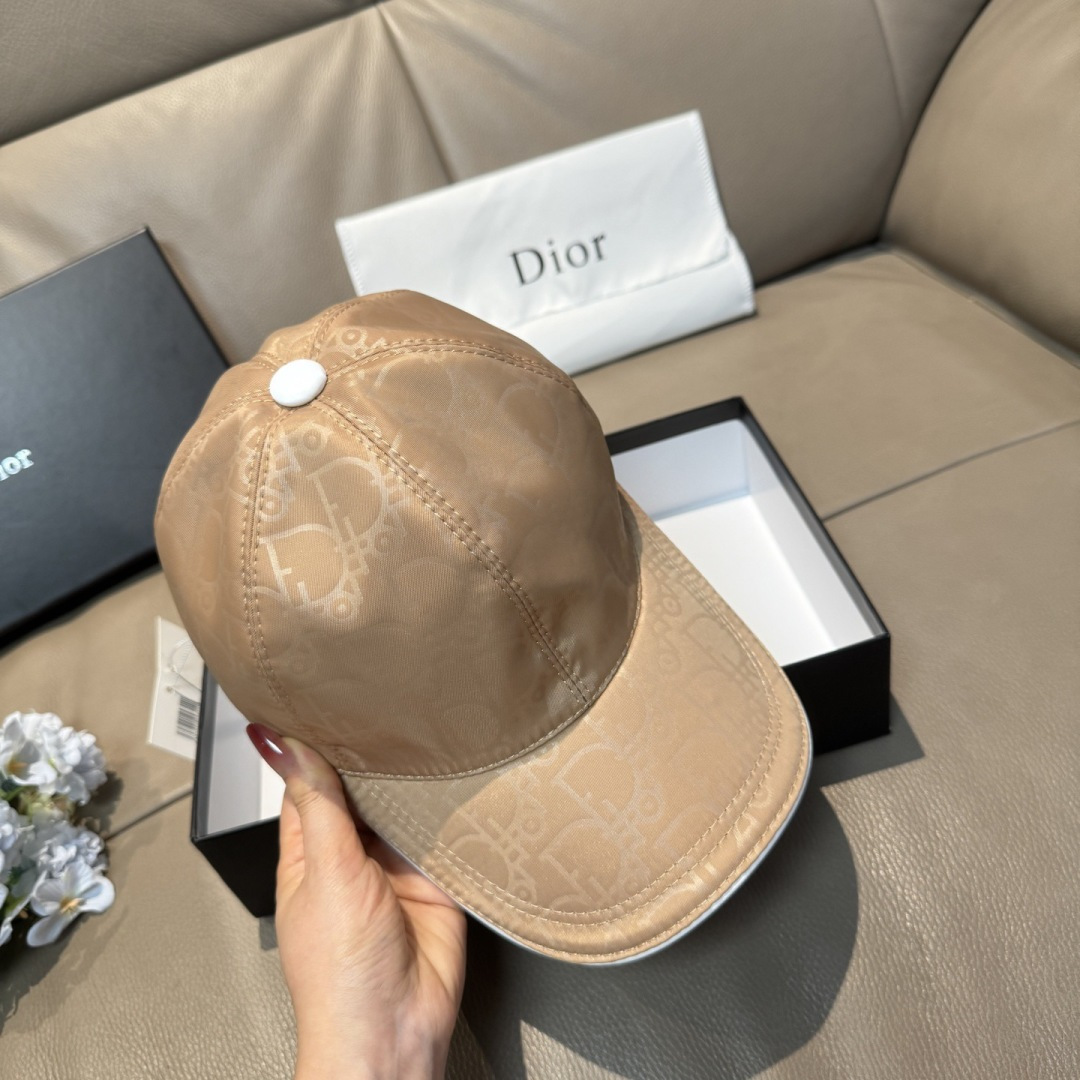 China Replica Dior Hats DRCP0403-2531