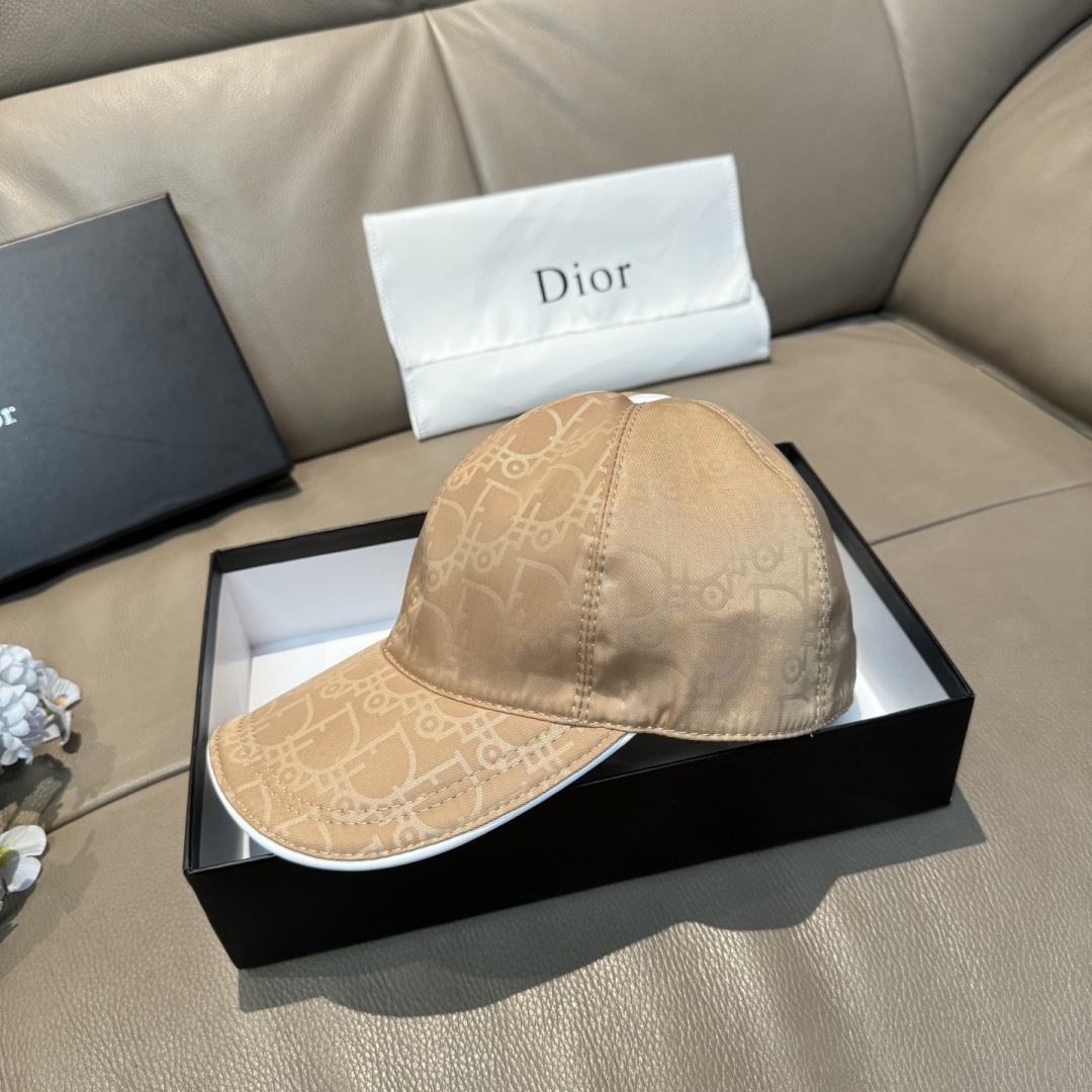 China Replica Dior Hats DRCP0403-2531