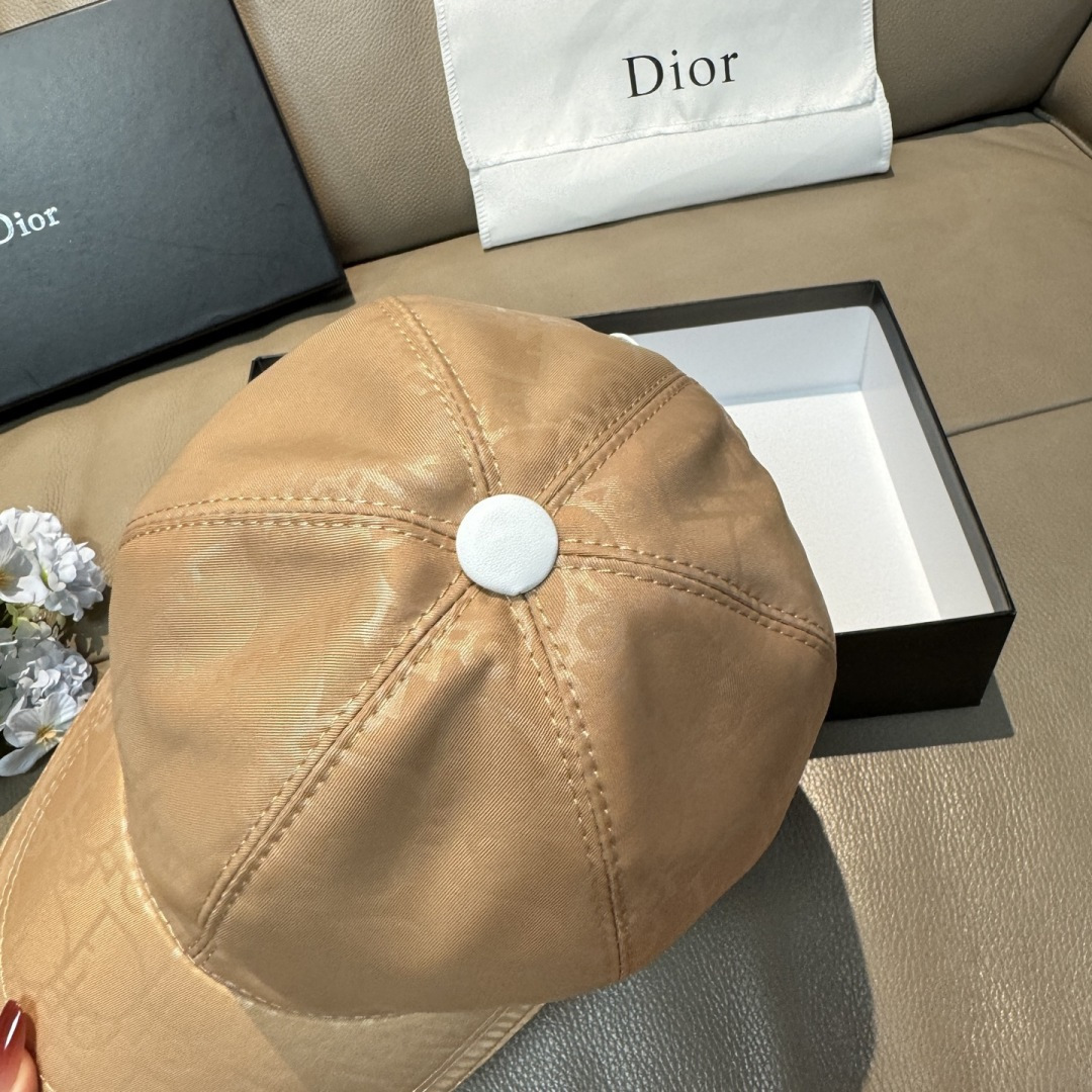 China Replica Dior Hats DRCP0403-2531