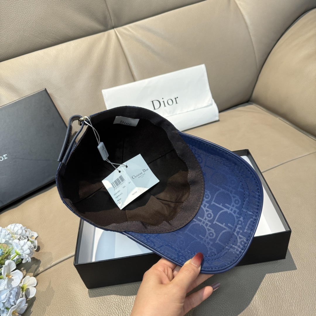 China Replica Dior Hats DRCP0403-1959