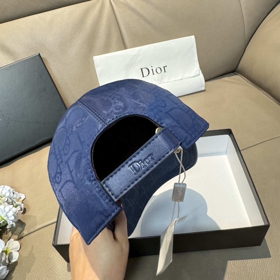 China Replica Dior Hats DRCP0403-1959