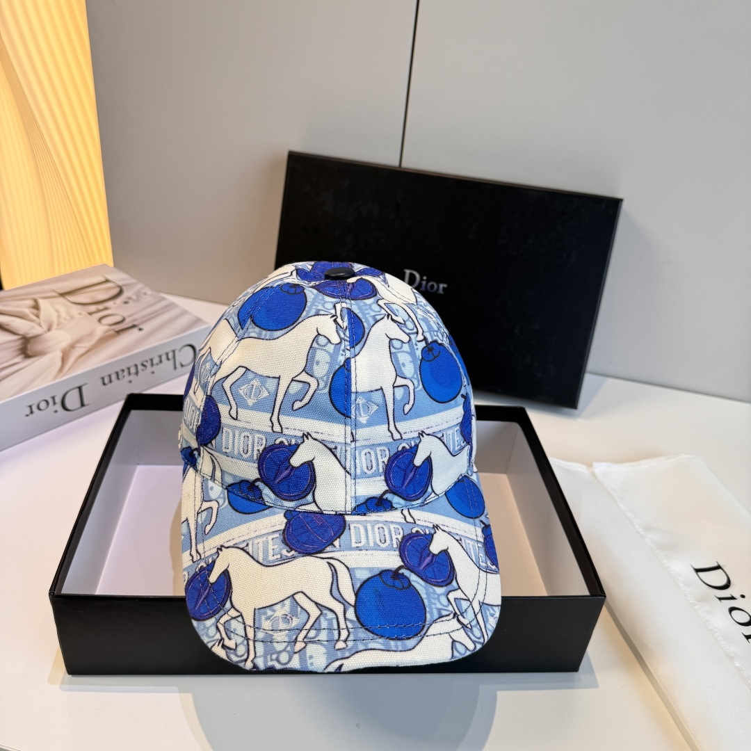 디올 모자 119516 Dior Cap