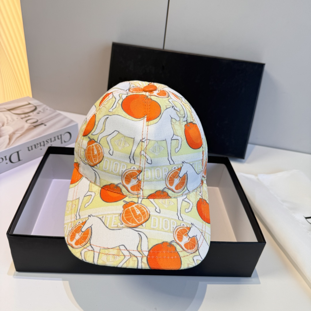 디올 모자 119515 Dior Cap