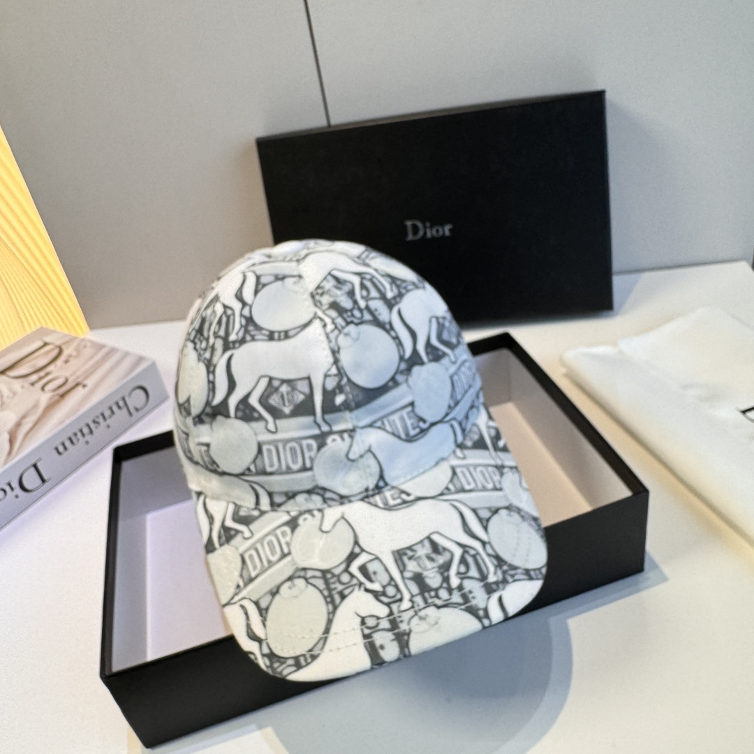 디올 모자 119514 Dior Cap