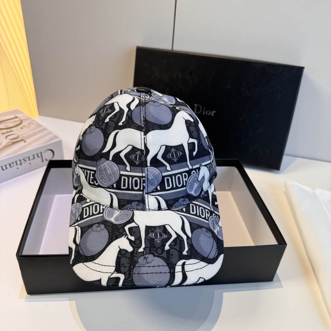디올 모자 119513 Dior Cap