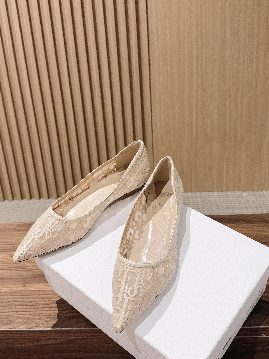 Dior Mesh Oblique Pointed Flats