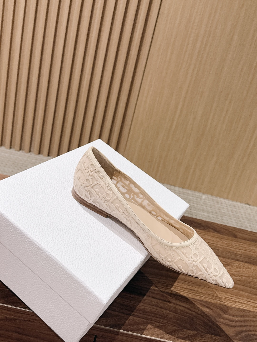 Dior Mesh Oblique Pointed Flats